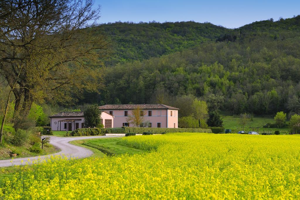 Agriturismo Il Corniolo Cenerente Zimmer foto